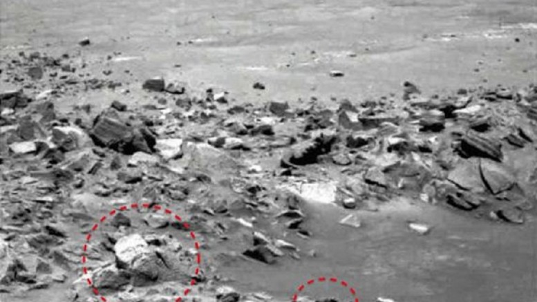 UFO enthusiasts claim to see “face of God” and Donald Trump in Martian photo